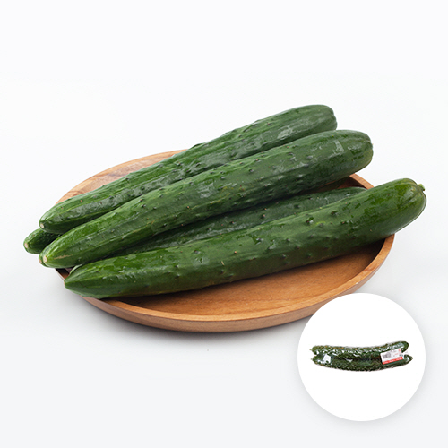 [국내산] 가시오이(특) 1묶음