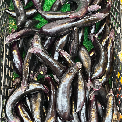 [국내산] 가지 3개입