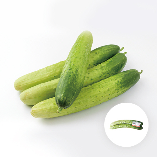 [국내산] 백다다기오이(특) 1묶음(2개입)