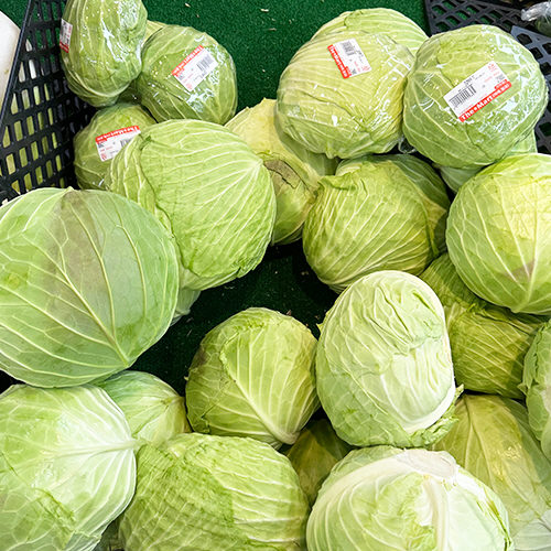 [국내산] 양배추 1통