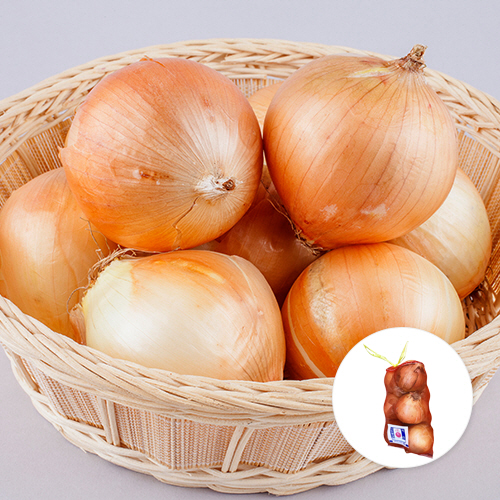 [국내산] 양파 1망