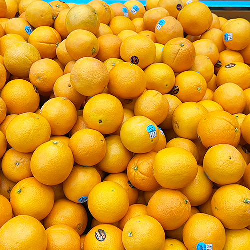 고당도 오렌지 1봉(5개입)