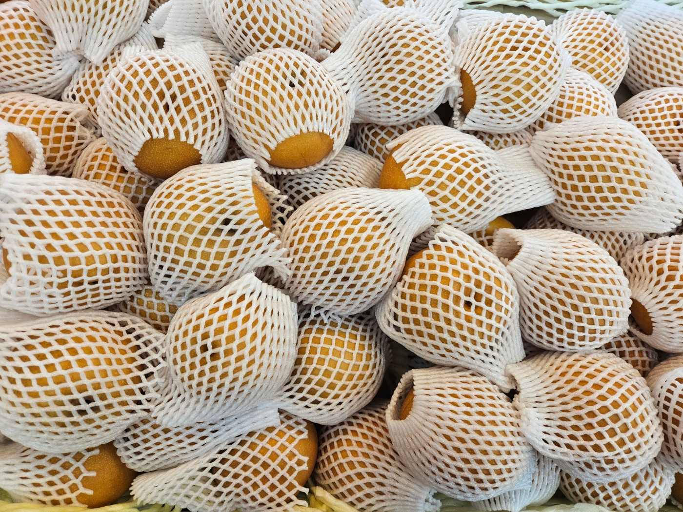 [국내산] 신고배 1봉(3개입)