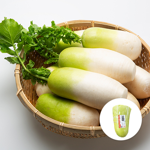 [국내산] 무 반통(1/2)