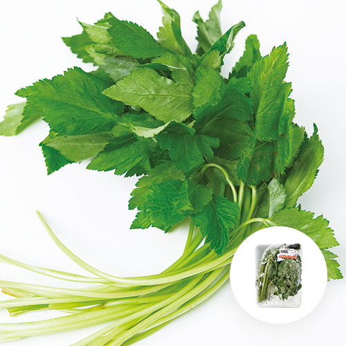 [국내산] 방아잎 1팩