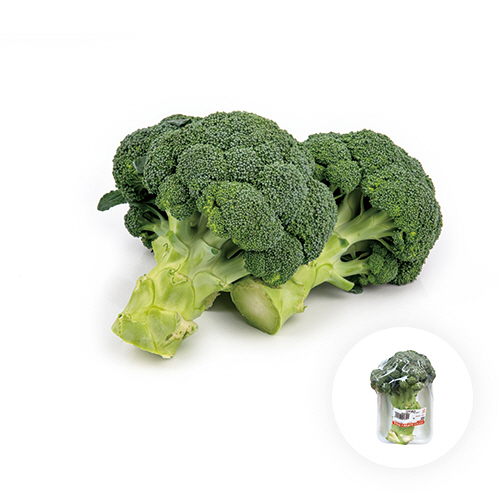 [국내산] 브로콜리 1팩
