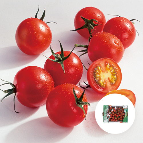 [경남 김해] 대추방울토마토 1박스(2kg)