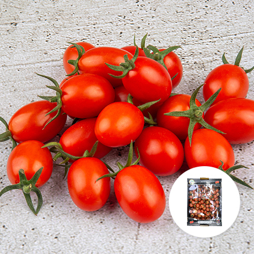 [경남 창원] 대추방울토마토 1박스(2kg)