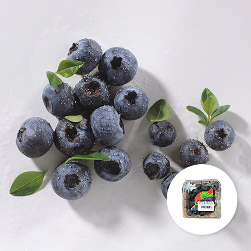 블루베리 1팩
