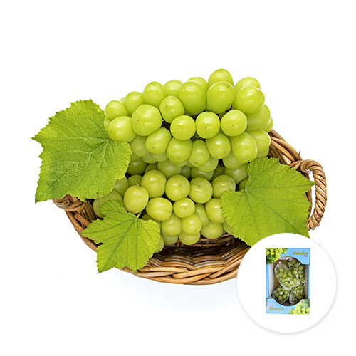 [경북 영천] 샤인머스켓 1박스(2kg)