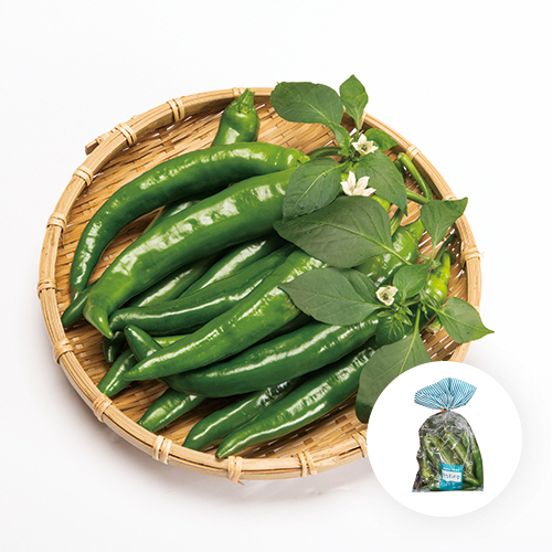 [국내산] 모닝고추 1봉