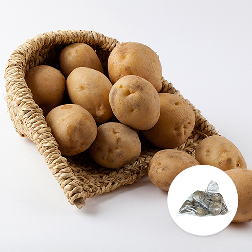 [국내산] 제주 햇감자 1봉(800g이내)