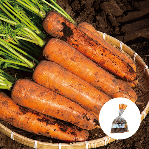 [국내산] 흙당근 1봉