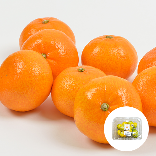 [국내산] 하우스 밀감 1팩